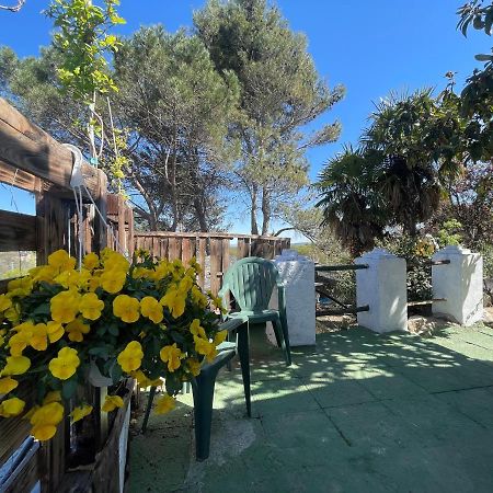 Casa Fidelina II Miraflores De La Sierra Eksteriør billede